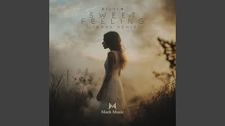 Sweet Feeling Limora Remix [upl. by Hartzke]