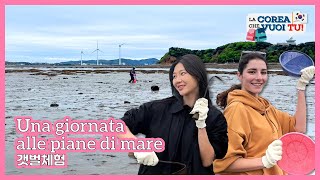 Una giornata alle piane di mare in Corea La Corea che vuoi tu  s4 ep3 [upl. by Louanna]