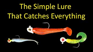 The Simple Lure that Catches Everything  Soft Plastics Fishing [upl. by Ahseinad336]