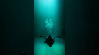 Diving Cenotes around Tulum Mexico [upl. by Audrit]