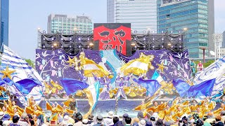 4K 大阪公立大学チーム朱蘭 こいや祭り 2024 日曜日 [upl. by Jacinto656]