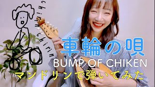 【歌詞付き】［車輪の唄BUMP OF CHIKEN］をマンドリン日本一の女子が弾いてみた【マンドリン使用曲】（あいりん🍓） [upl. by Waldemar]