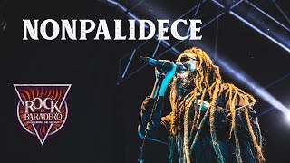 Nonpalidece en Rock en Baradero 2019 Show completo [upl. by Utta]