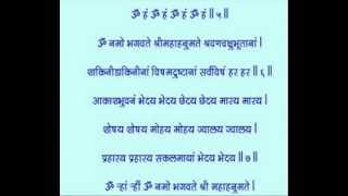 HANUMAN VADVANAL STOTRA Fastest hanuman vadvanal Smitjoshiofficial sanatandharma [upl. by Azerila]