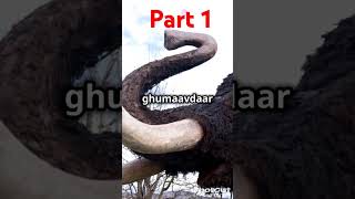 Woly mammoth kaun the unka ant kaise huaa [upl. by Jeana]