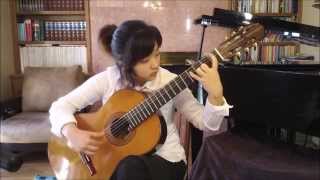 Chaconne  from violin partita No 2   J S Bach 1685  1750 [upl. by Oicnerolf]