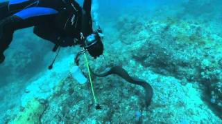 Découvrez lîle Maurice avec René Heuzey [upl. by Anieral]