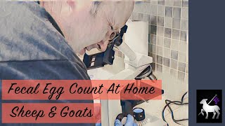 How To Conduct a Fecal Egg Count At Home Sheep and Goats [upl. by Nevad]