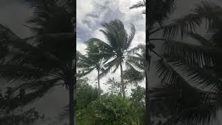 Windy  Bagyong Kristine  Bohol storm kristineph [upl. by Arrik96]