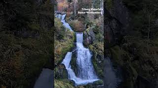 Slow Motion Triberg Waterfalls Triberger Wasserfälle schwarzwald travel germany waterfall [upl. by Kreiker]