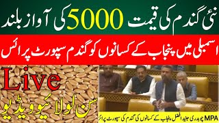 گندم کی امدادی قیمت فائنل اعلان wheat support price in punjab pakistan 2024 صوبائی اسمبلی [upl. by Eide]