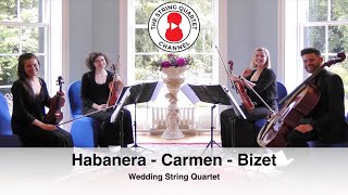 Habanera from the opera Carmen composed by Georges Bizet  Wedding String Quartet [upl. by Oilalue]