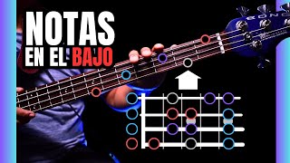 03 ¿Cómo tocar el bajo  Aprende las notas en el bajo eléctrico [upl. by Gniw]