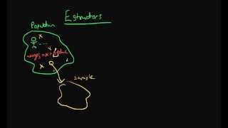 Estimators  the basics [upl. by Oicneconi670]