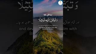 Surah Muzammil  سورۃکاترجمہ quran shorts fyp [upl. by Nivlad]