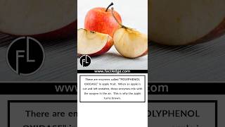 Why Apple Turns brown  Apple Fruit Fact  Amazing Facts [upl. by Lock]