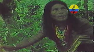 Danzas indígenas de los Waunanas Yuruparí 1986 Chocó [upl. by Auqinet]