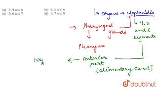 Pharyngeal nephridia of Earthworm pheretima occur in segments [upl. by Yenaj]