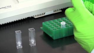 DNA Quantitation Using a Spectrophotometer [upl. by Norrek724]