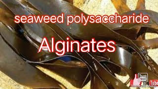 Seaweeds polysaccharide Alginates in Hindi [upl. by Elmo]