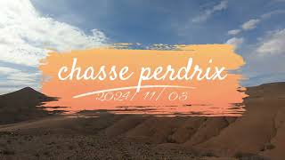 chasse perdrix 20241103 صيد الحجل [upl. by Eardnoed349]