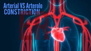 vasoconstriction and vasodilation [upl. by Letch]