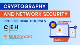 Cryptography and Network Security  Cryptography and Network Security Full Bangla Course [upl. by Zaob882]