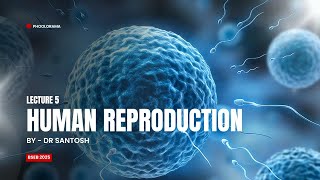 Human Reproduction Lecture 5  Mammary gland biology humorhumanityBSEB CBSE12th neet [upl. by Sulienroc]