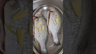 🌈steam fish healthyfood yummyfood viralvideo ytshorts [upl. by Ahseken]