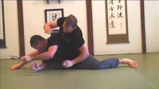 Martin Wheeler  Kenpo Judo Mixed martial arts training then Systema [upl. by Dymoke]