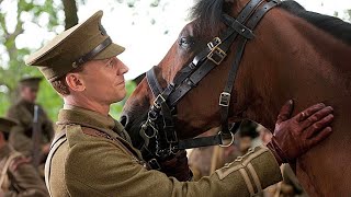 A War Horse Experiences The Battles In France Before Reunite With His Owner [upl. by Pantia]