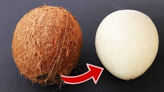 How to remove COCONUT Flesh From Shell 2 different ways [upl. by Anreval]