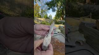 Sanding a spalted wood spoon youtubehighfive youtubecreators [upl. by Neall]