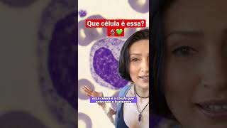 Descrevendo o metamielocito biologia hematologia farmacia biomedicina [upl. by Yorle]