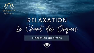 🎧2 HEURES au chant des Orques  Libération du stress  Relaxation  Concentration  Sommeil profond [upl. by Kcirdaed416]