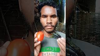 tomato spicy mirchi ka nashta 😭😭🥵🥵 viralvideo jayagaribeating [upl. by Minsk]