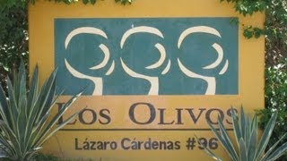 Los Olivos in Ajijic Jalisco Mexico Lake Chapala [upl. by Adiv]