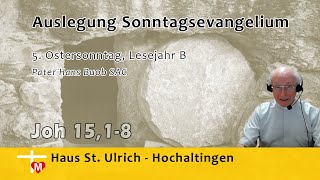 Pater Hans Buob SAC Predigt 5 Ostersonntag Lesejahr B Joh 1518 [upl. by Aneis]