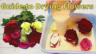 How to Dry Flowers for Putting in Resin Shocking Results [upl. by Ggerk590]