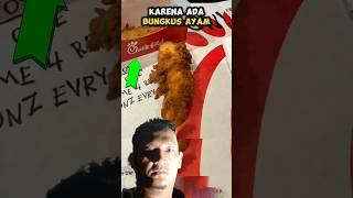 Ayam krispi kfc halmenarik chicken dog fakta food faktamengejutkan ayam OmDikki [upl. by Anavrin253]