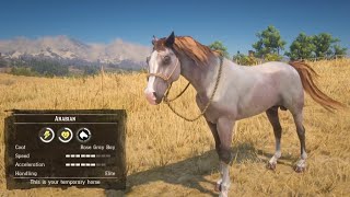 All 5 Rare Arabian Horse Location amp Rankings  RDR2 [upl. by Dlaner16]