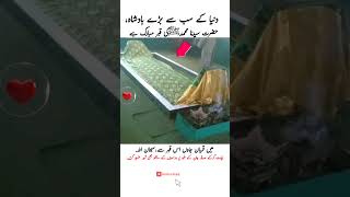 Prophet Muhammads SAW Grave♥  Kia Ya Sach much Nabiﷺ k qabar ha🤔 islamic islam اسلام اسلامی [upl. by Tillfourd]