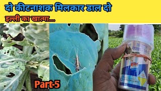 Kite insecticide  Indoxacarb14sc  Ajay Kashyap agriculture [upl. by Damita]