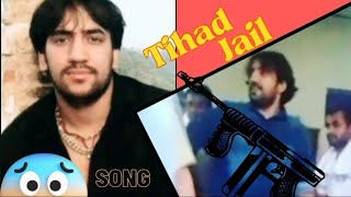 Neeraj bawana group Tihad jail Song Badmashi [upl. by Adnorehs]