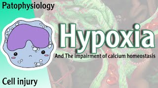 Pathophysiology  Hypoxia and the impairment of calcium homeostasis Hani Laith شرح [upl. by Lrig]