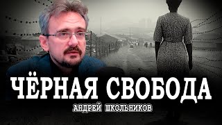 Невозможность порядка или Апартеид  как необходимость  Андрей Школьников [upl. by Trenna305]