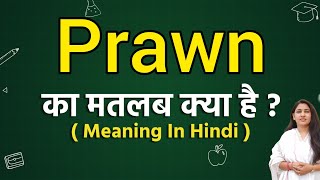 Prawn meaning in hindi  Prawn ka matlab kya hota hai  Word meaning [upl. by Alakam]