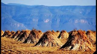 EL ZACATECANO DE ATOLINGA Y TLALTENANGO Eklipse de la Sierra [upl. by Octavia]