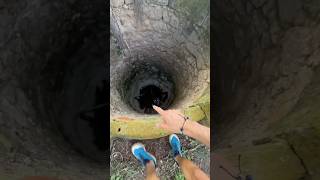 Sauver une souris 🐁✅ nature wild wildlife rescue humour exploration [upl. by Brana]