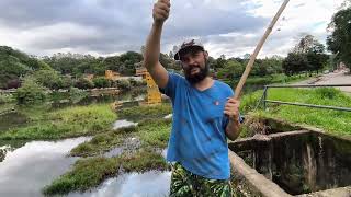 TENTANDO PESCAR NA LAGOA EM GUARULHOS [upl. by Terence]